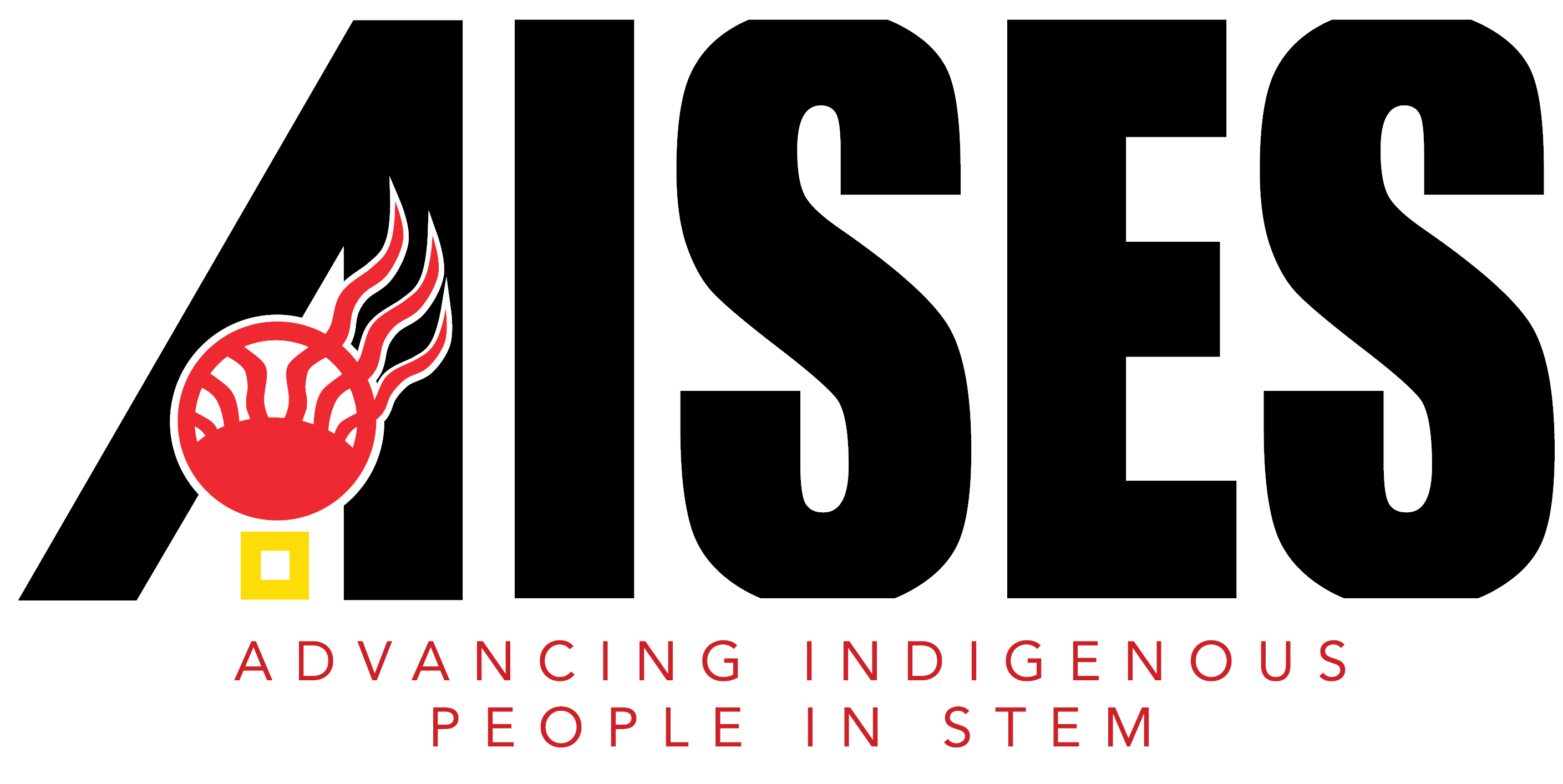 CLUB LOGO for AISES