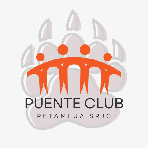 CLUB LOGO Puente Club