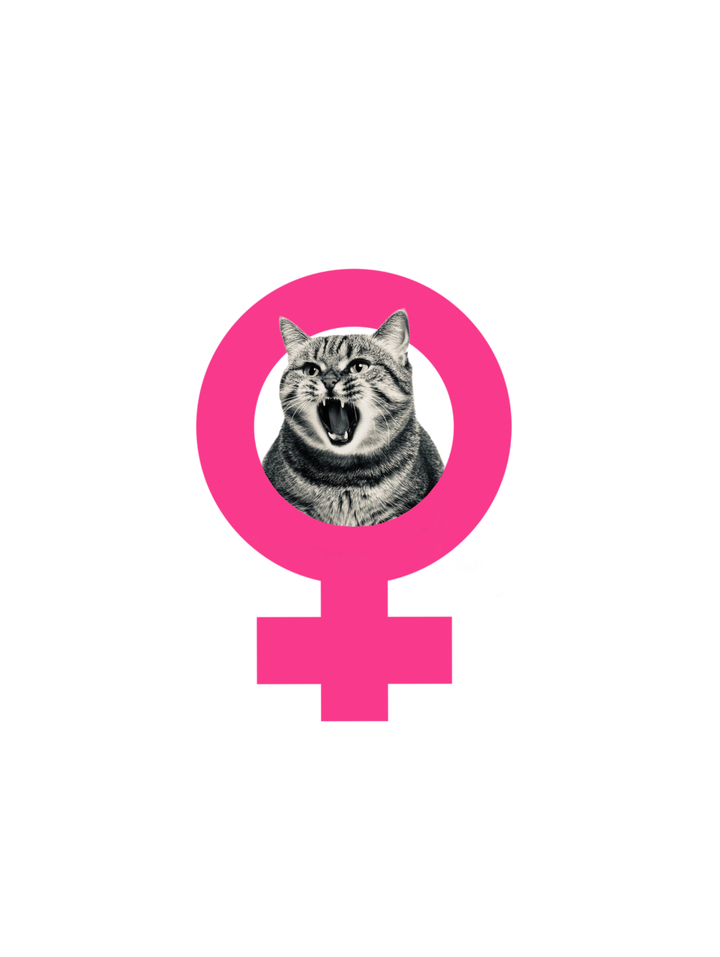 Logo for Feminists for Female Liberation showing a cat inside of the Venus symbol